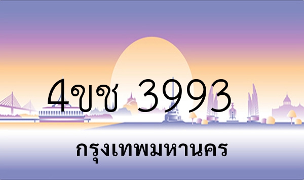 4ขช 3993